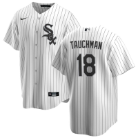 Youth Chicago White Sox Mike Tauchman #18 White Home Replica Jersey